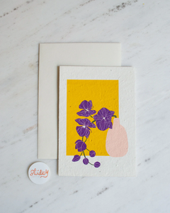 Orchid - Studio Y